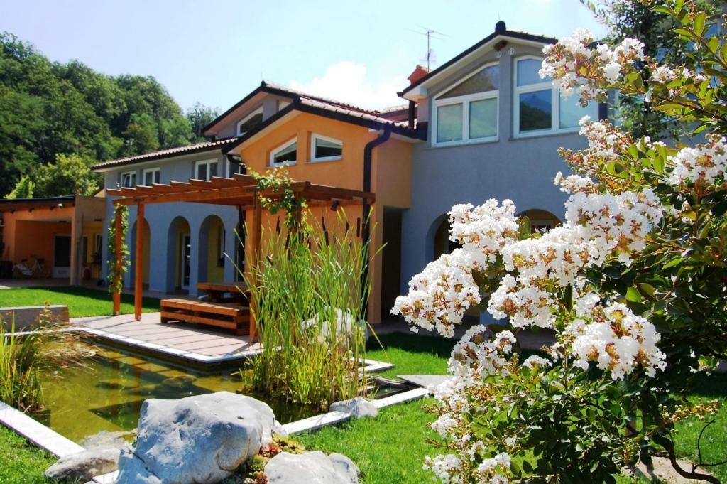 Hisa Posebne Sorte Kodreti 외부 사진